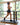 MX16 Double-Fold Fitness Treadmill