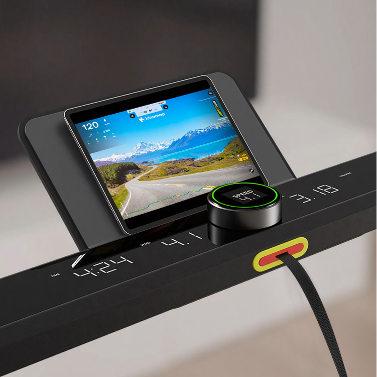 WalkingPad CA