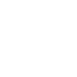 <p>110 lbs Lifting Capacity</p>