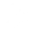 <p>BLUETOOTH</p>