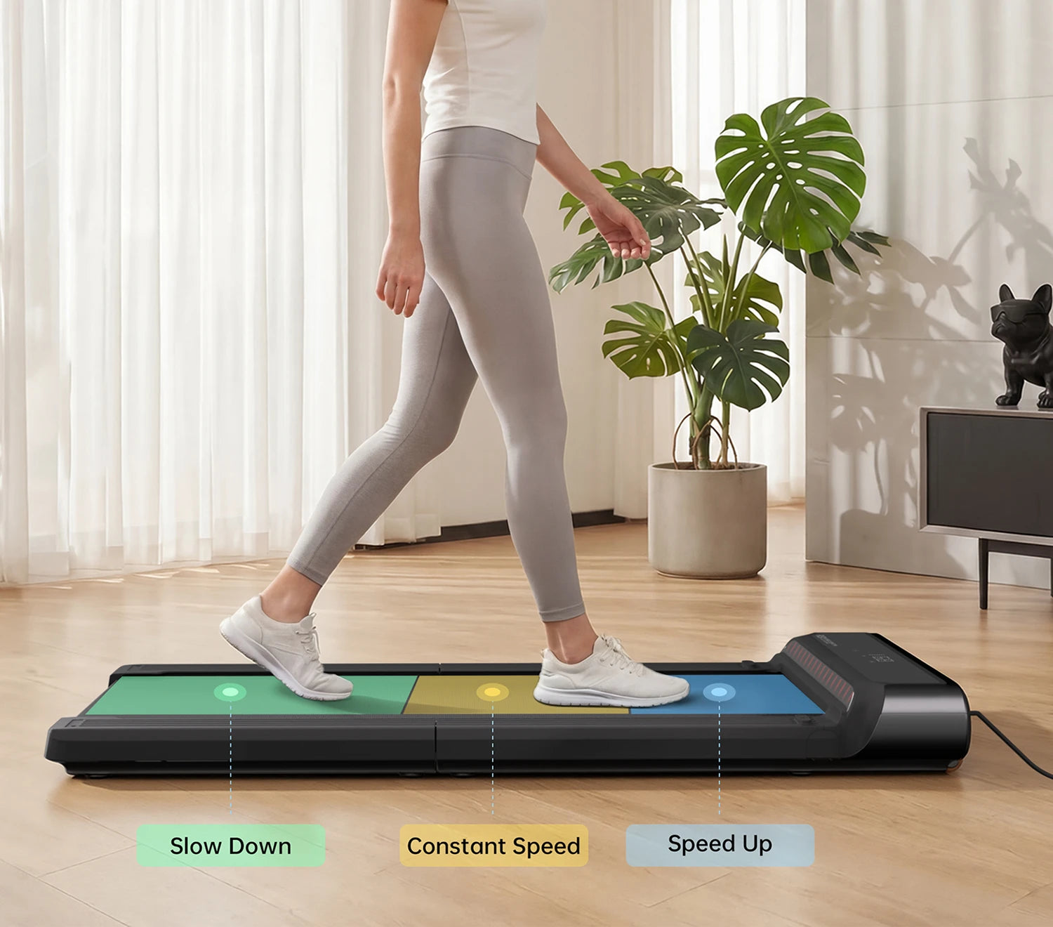 WalkingPad CA